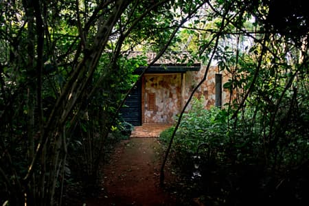 Entebbe Forest Lodge